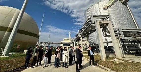 �ʼҹ���(�й���)-�ٷ���վ