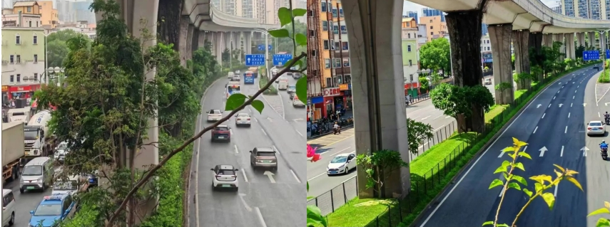 �ʼҹ���(�й���)-�ٷ���վ